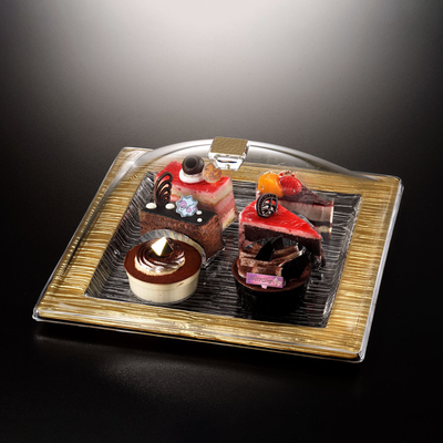 Vague Square Acrylic Serving Set Bark Design 